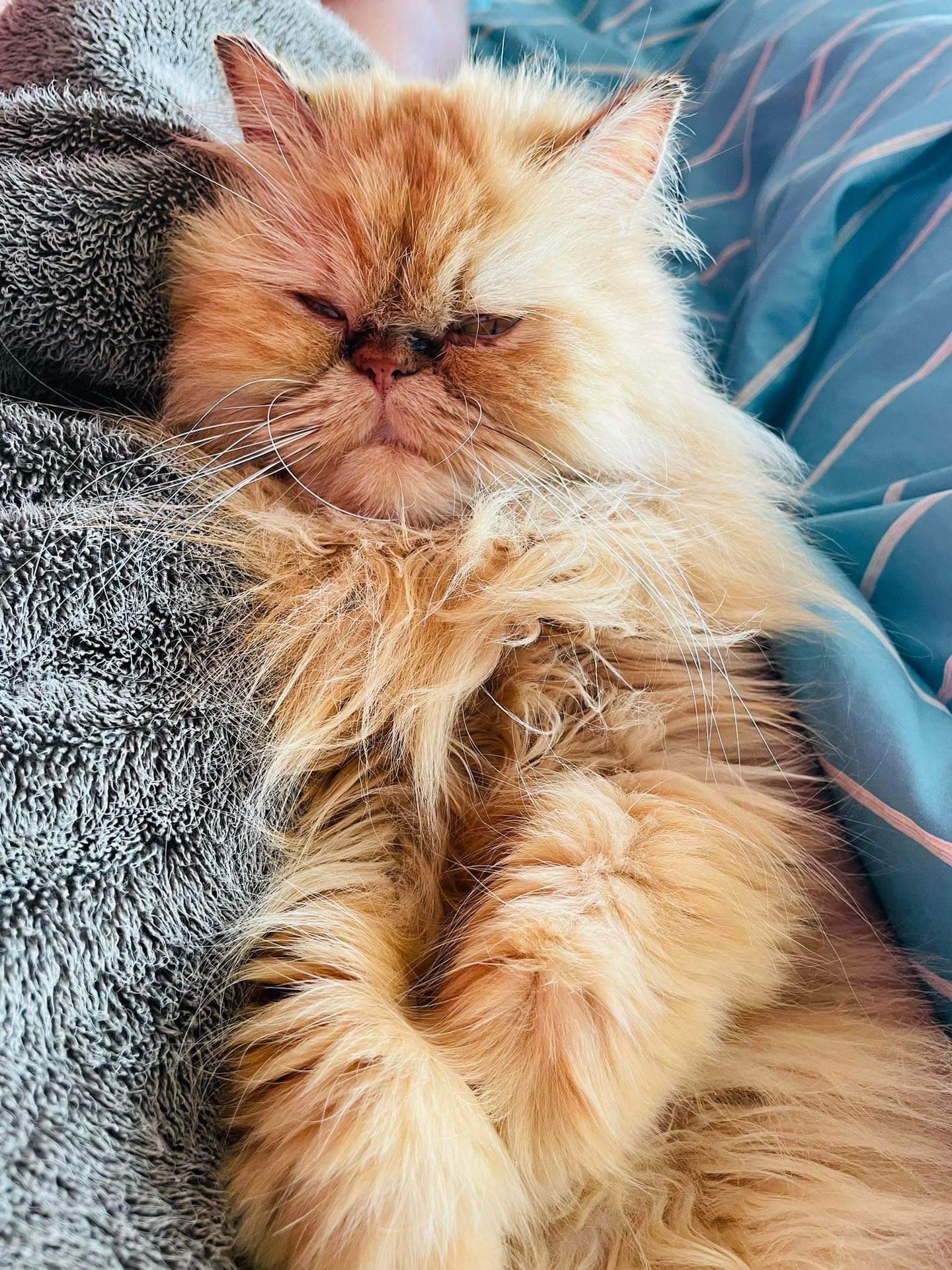 Bubba